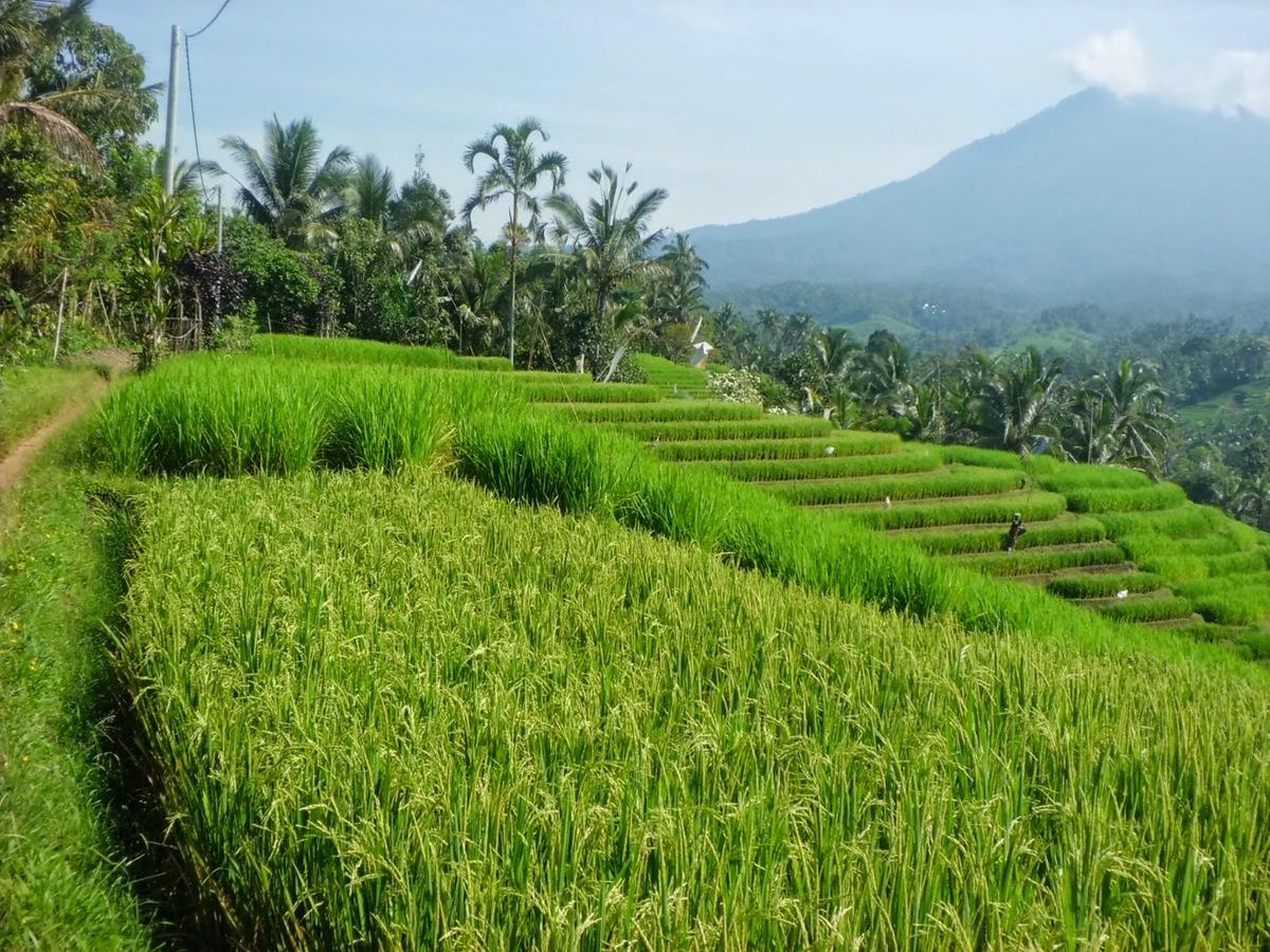 Zen Rooms Basic Kuta Kubu Anyar ภายนอก รูปภาพ