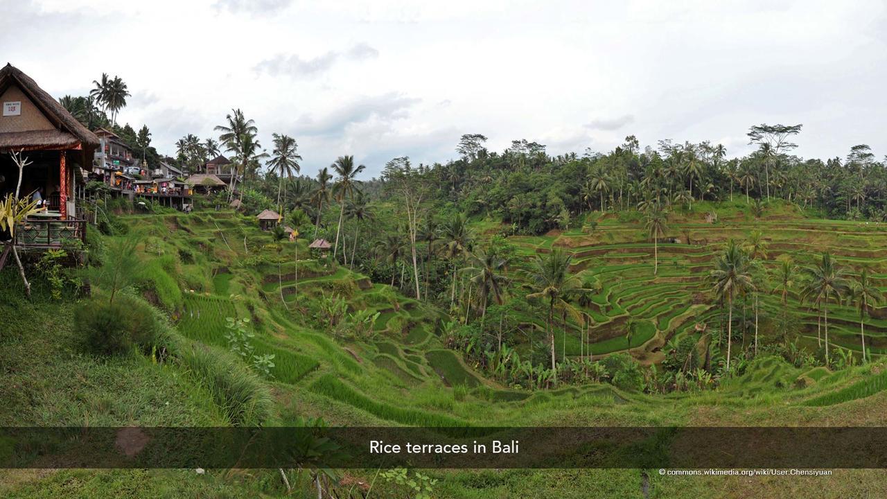 Zen Rooms Basic Kuta Kubu Anyar ภายนอก รูปภาพ